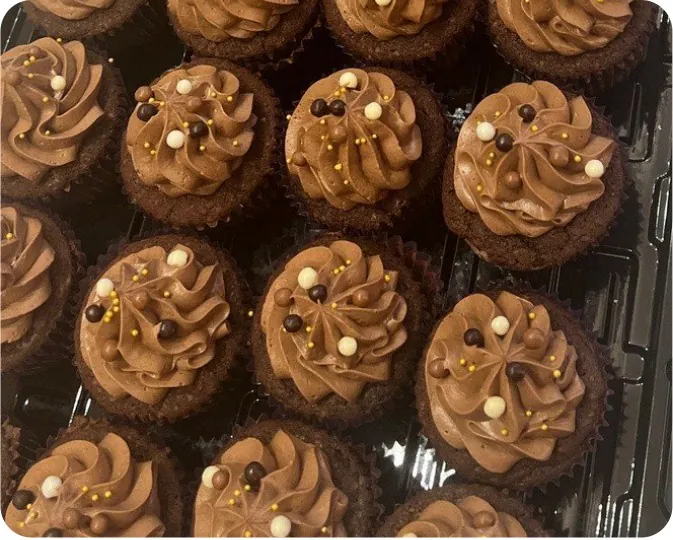 Double Chocolate Cupcakes